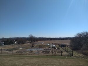 LaFarm Community Gardens 2020